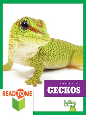 cover image of Geckos